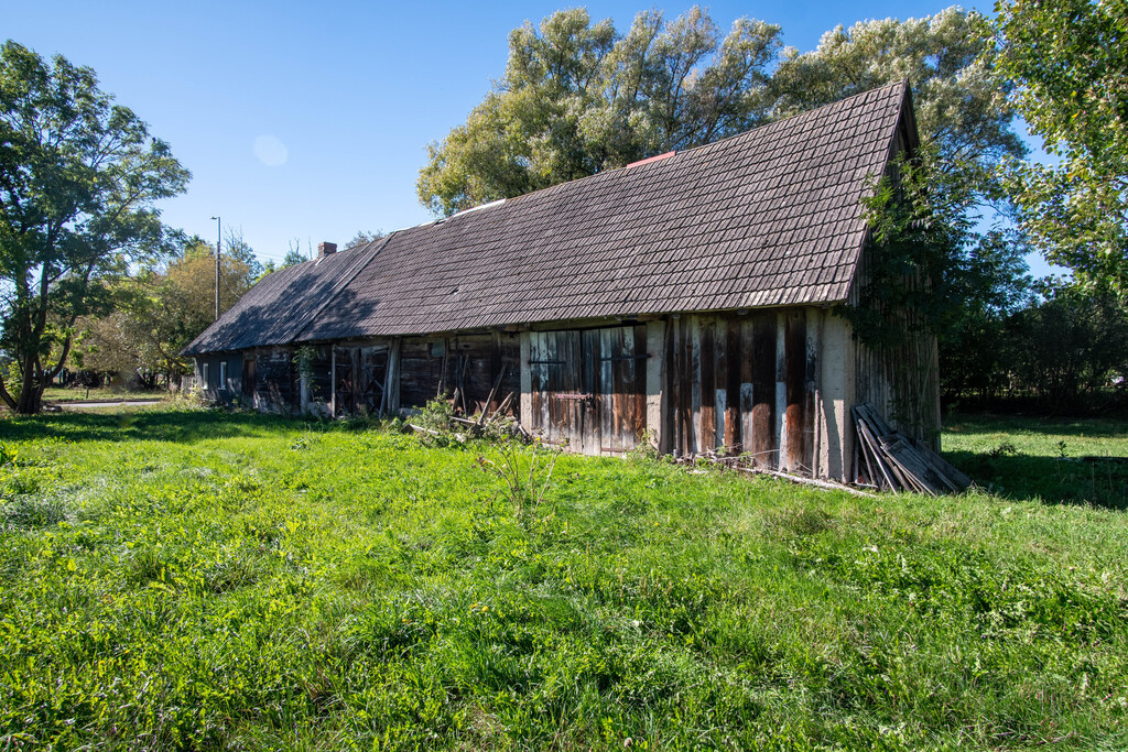 Działka Sprzedaż Dobrzyni&oacute;wka 5