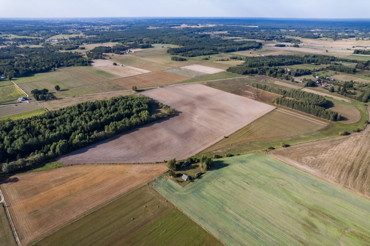 Działka Sprzedaż Rafałówka 7