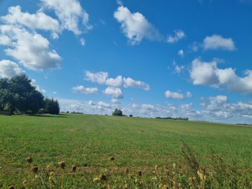 Działka Sprzedaż Folwarki Małe