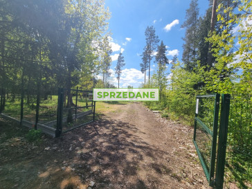 Działka Sprzedaż Olmonty