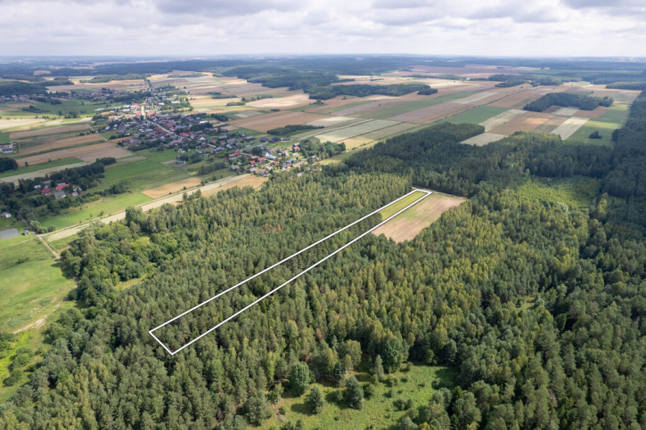 Działka Sprzedaż Wierzchlesie 6