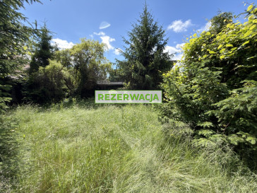 Dom Sprzedaż Zabłud&oacute;w