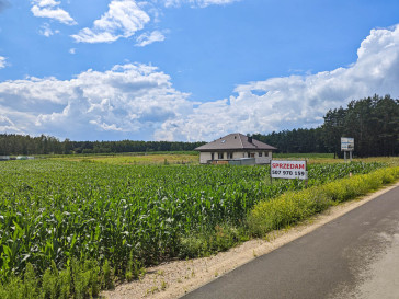 Działka Sprzedaż Mińce