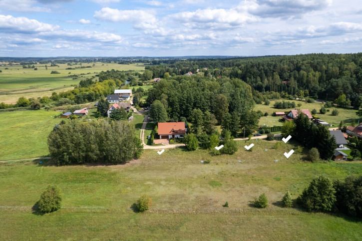 Działka Sprzedaż Dzikie-Kolonia 5