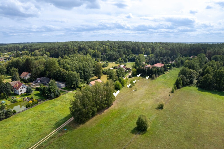 Działka Sprzedaż Dzikie-Kolonia 4