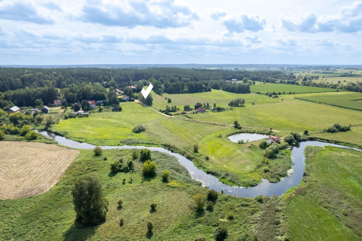 Działka Sprzedaż Dzikie-Kolonia 1