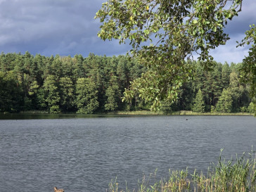 Działka Sprzedaż Wiartel Mały