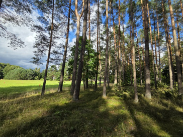 Działka Sprzedaż Wiartel Mały