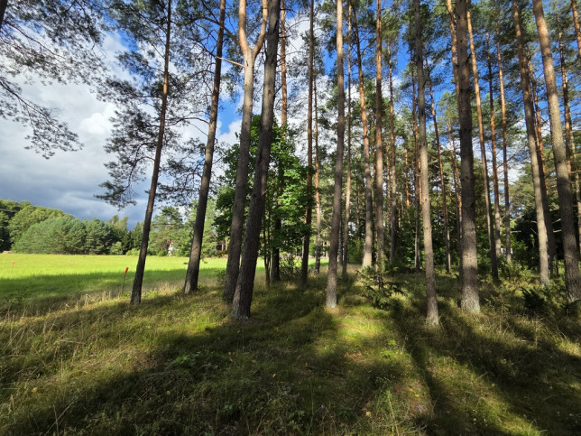 Działka Sprzedaż Wiartel Mały 19