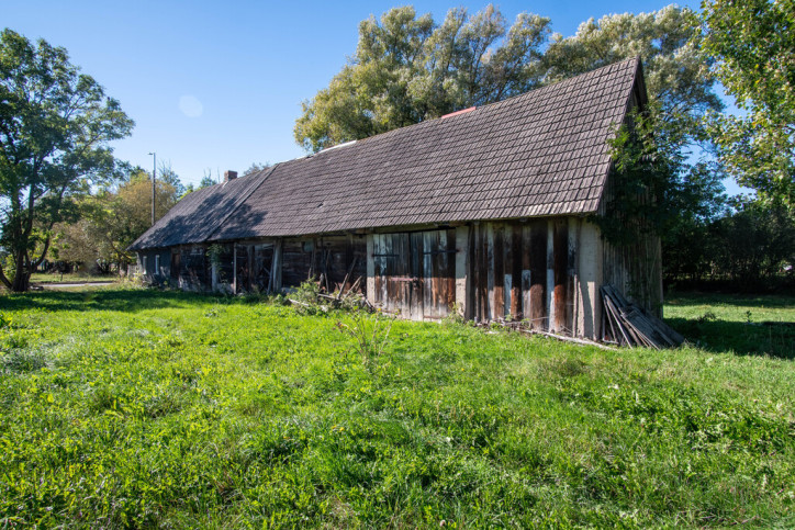 Działka Sprzedaż Dobrzyni&oacute;wka 5