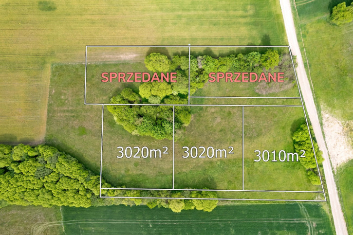 Działka Sprzedaż Ruszczany 1